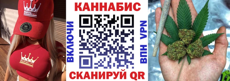 Купить закладки  Новозыбков  Канабис MAZAR 
